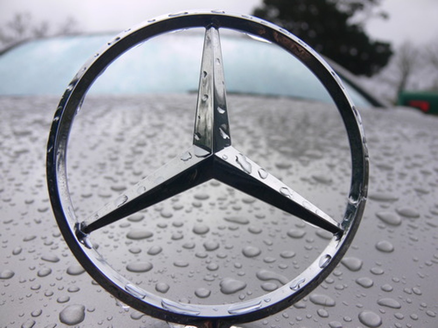 <p>Serving as a symbol.</p>