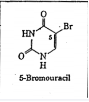 <p>This substance is mutagenic and carcinogenic. What is the mode of action?</p><p class="p1">a. DNA polymerase inhibitor</p><p class="p1">b. Weakness the mRNA</p><p class="p1">c. Mimics a pyrimidine</p><p class="p1">d. Intercalates in the DNA</p><p class="p1">e. Cross links the DNA strands</p>
