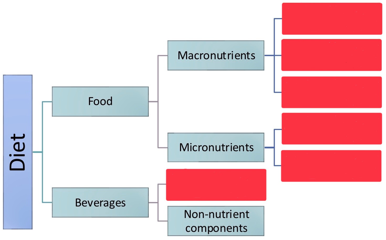<p>Fill in the essential nutrients</p>