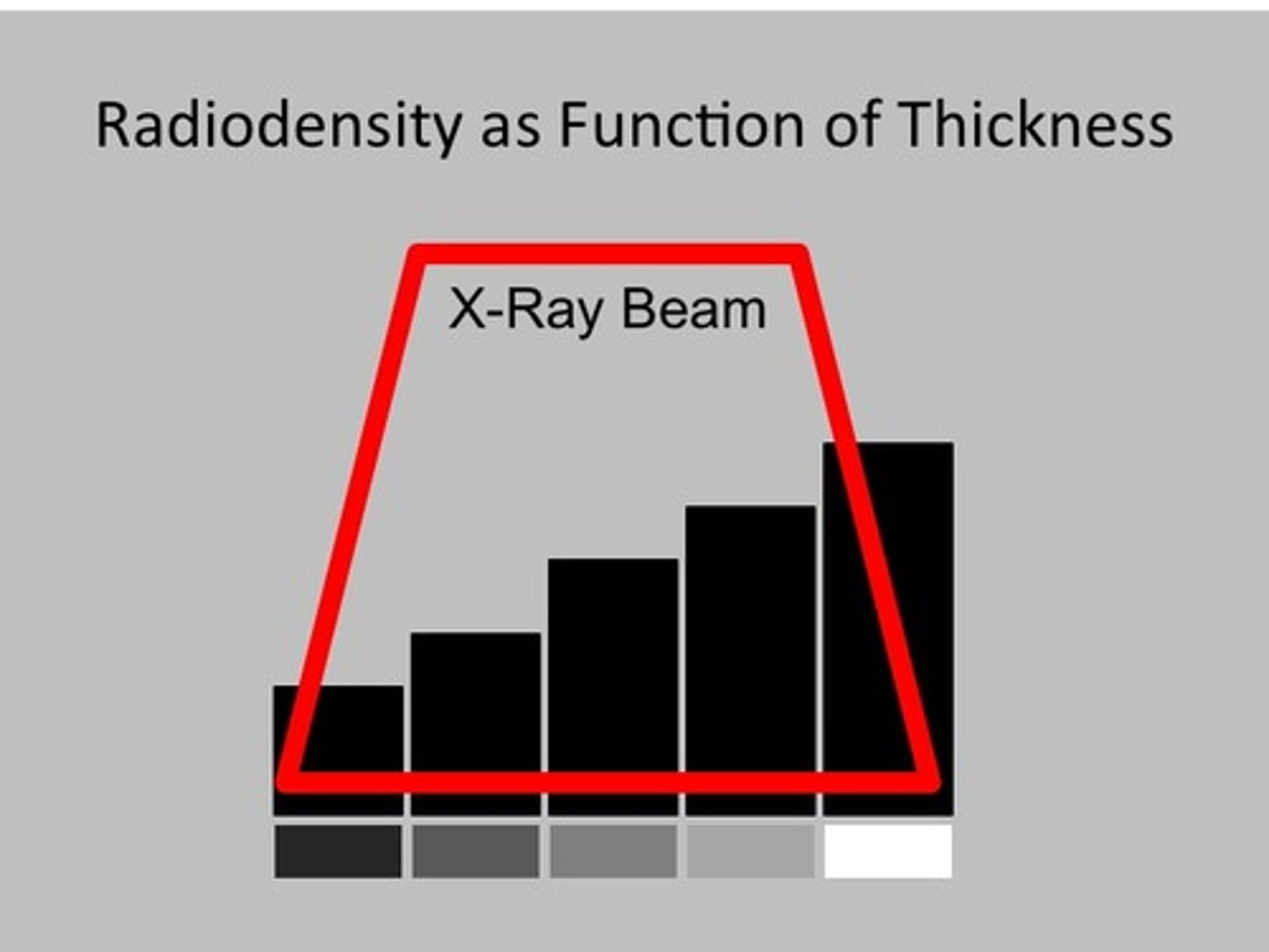 <p>Thickness</p>