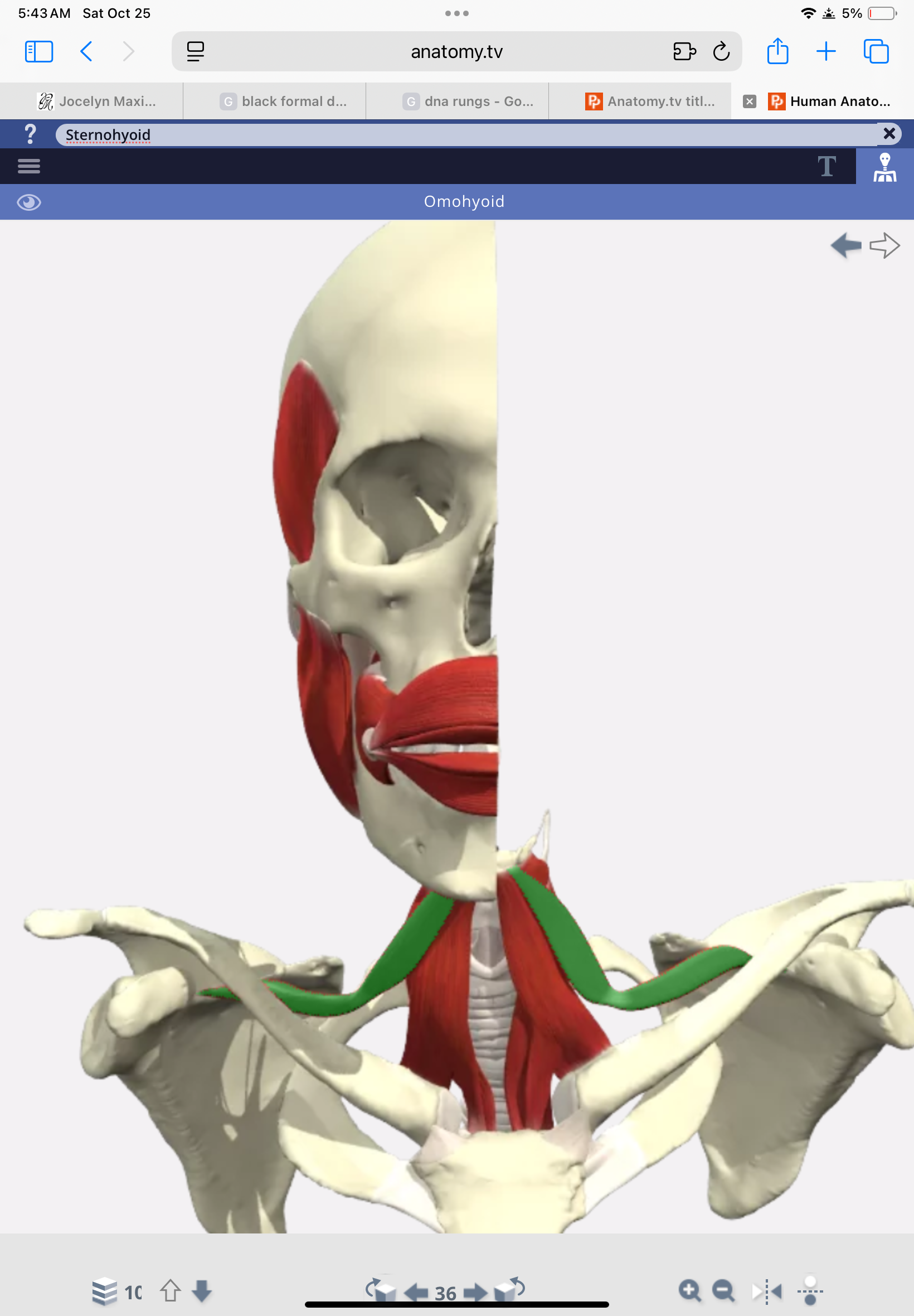 knowt flashcard image