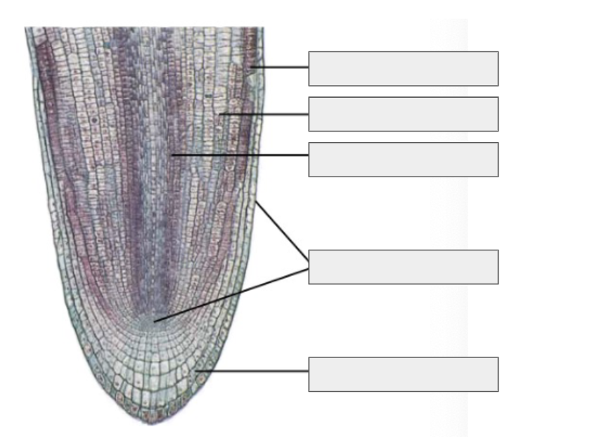 <p>What is this image of and label the parts</p>