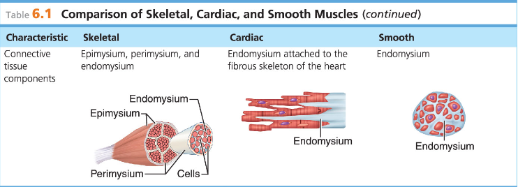 <p>Study these</p>