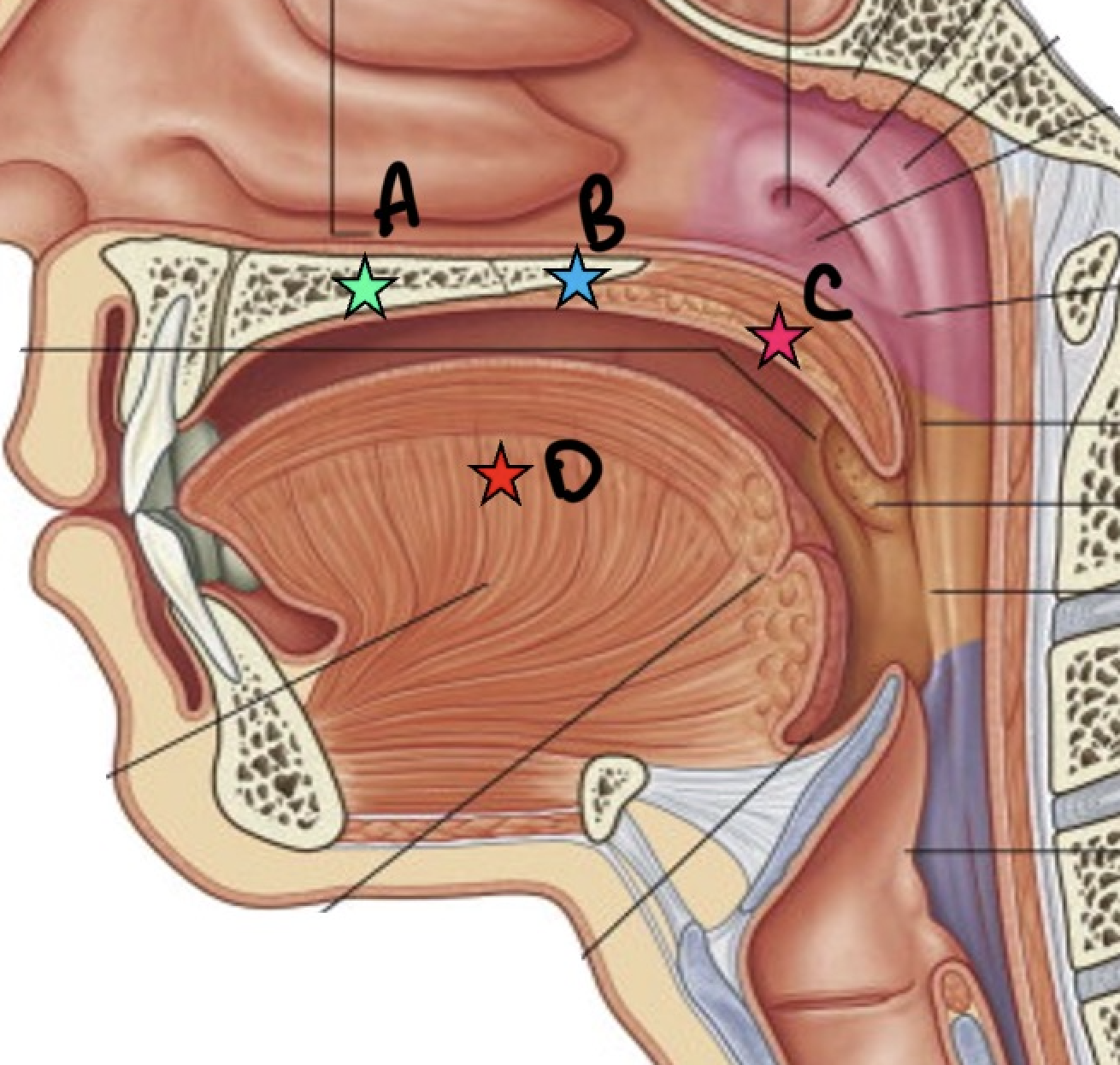 <p>What is D?</p>