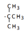 <p>what is the name of this substituent group?</p>