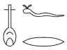 <p>3.2 nfr</p>