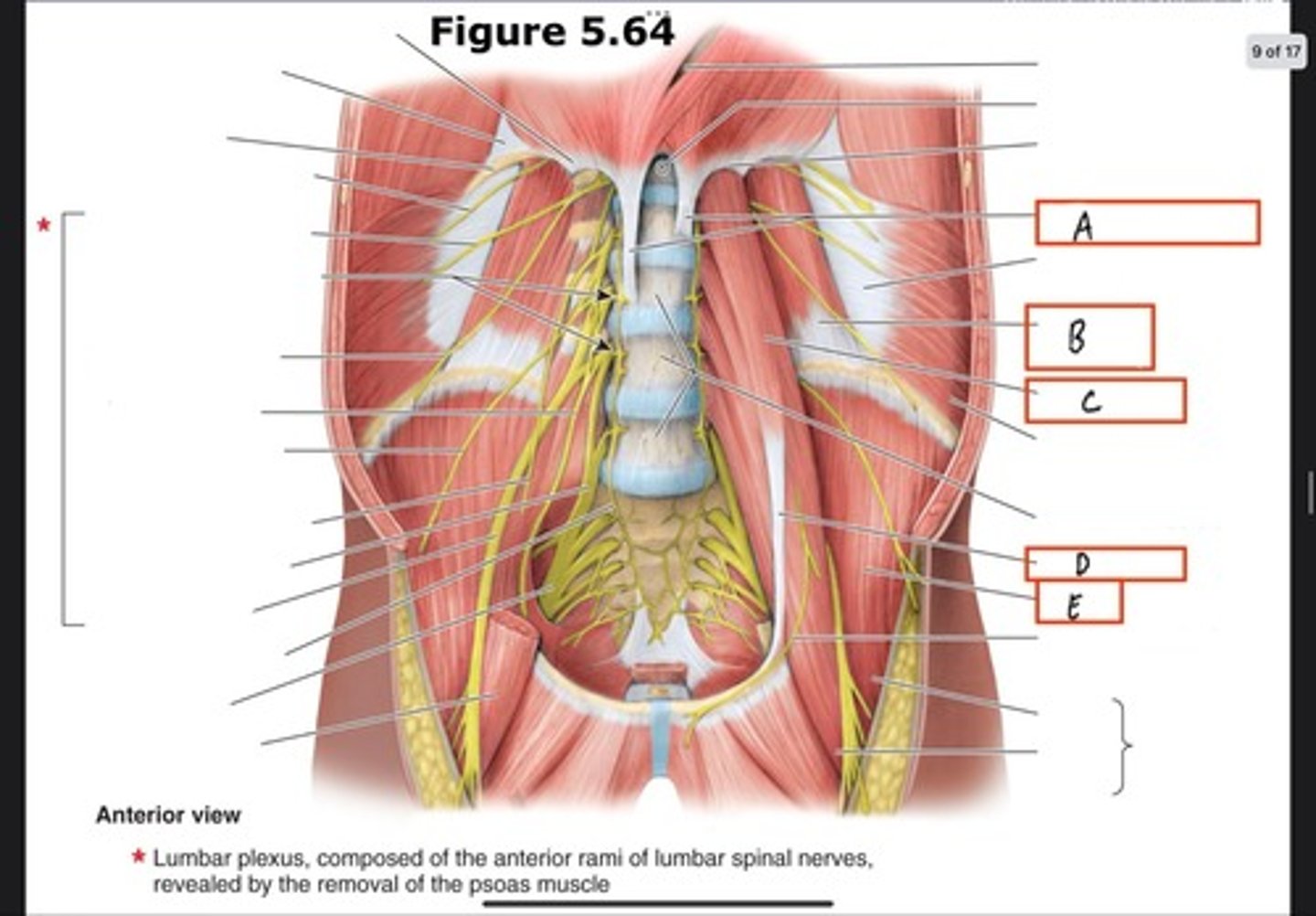 <p>What is C?</p>