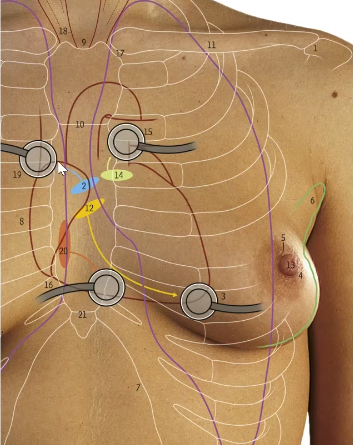 <p>What valve can you hear ar 19</p>