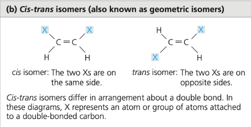 <p>isomers that differ in the arrangement of atoms across a double bond, affecting their properties</p>