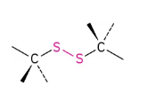 <p>C—S—S—C</p>