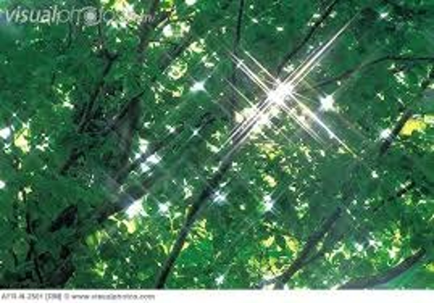 <p>lấp lánh, sáng bóng</p>