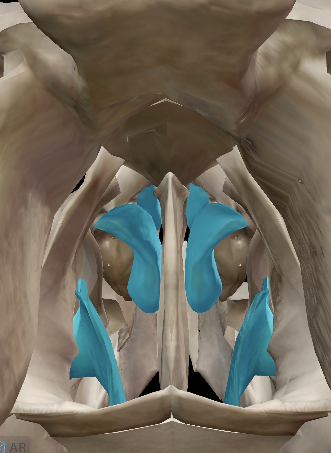 <p>What is this and what is its function?</p>