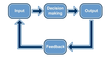 input →decision making →output →feedback
