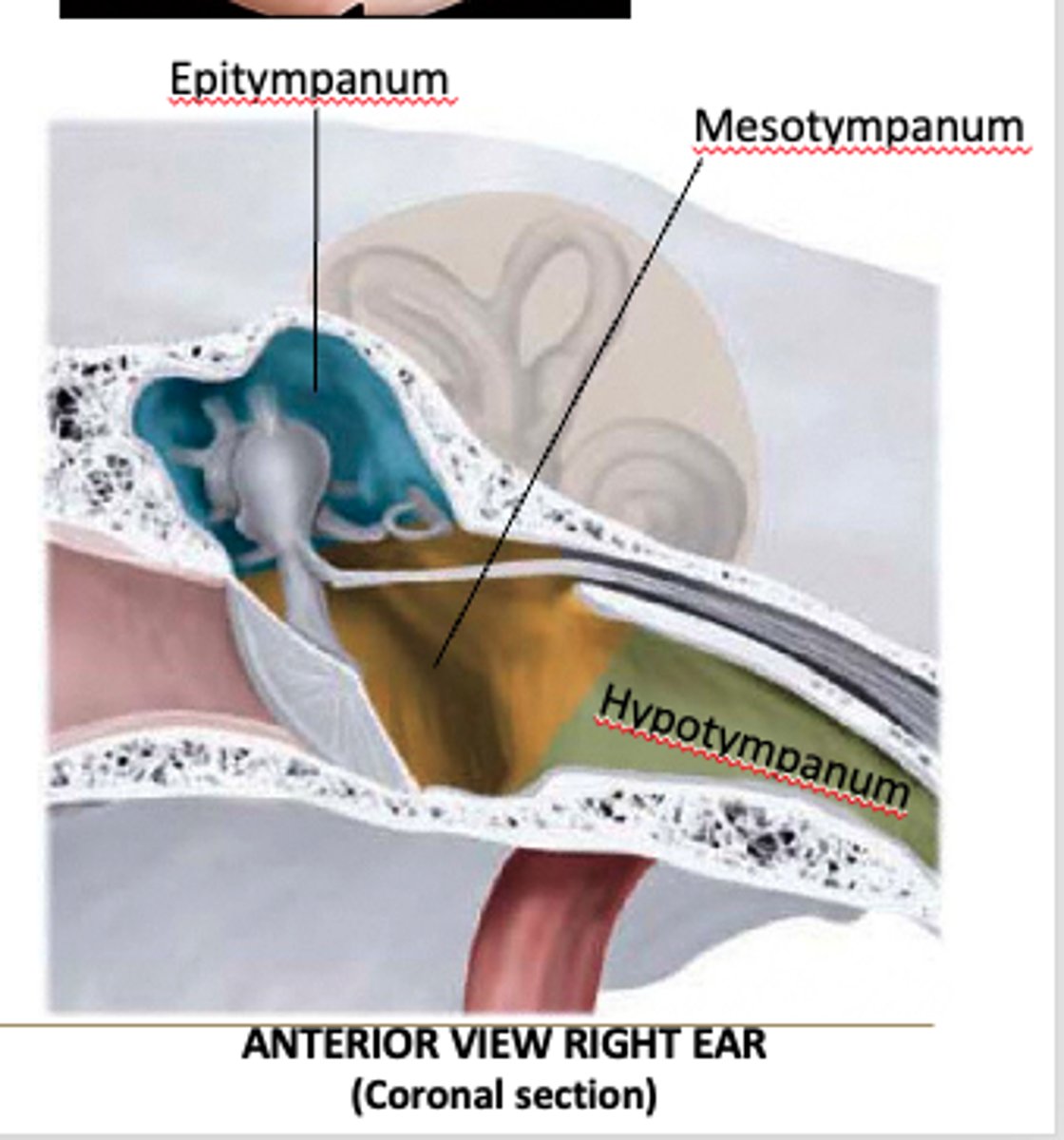 <p>superior area of the middle ear, above the tympanic membrane, containing the head of the malleus and part of the incus</p>