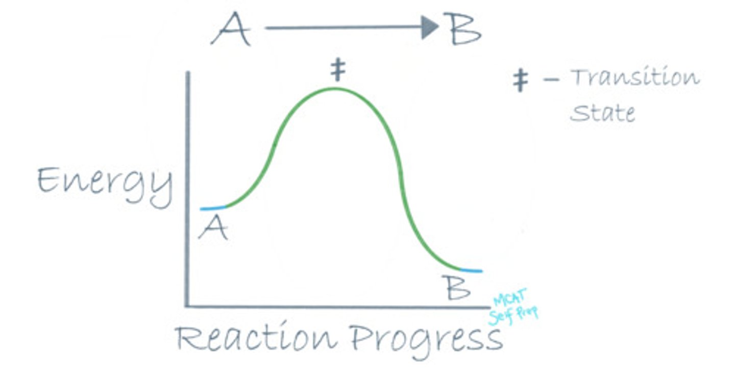 <p>For an exothermic reaction, the energy level of the reactants (A) should be higher than the energy level of the products (B), because energy is an additional product of an exothermic reaction.</p><p>The transition state on a reaction coordinate diagram is the highest energy point on the path from point A to point B. It is the most unstable point throughout the entire reaction.</p>