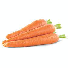 <p>carrot</p>