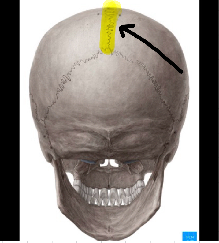 knowt flashcard image