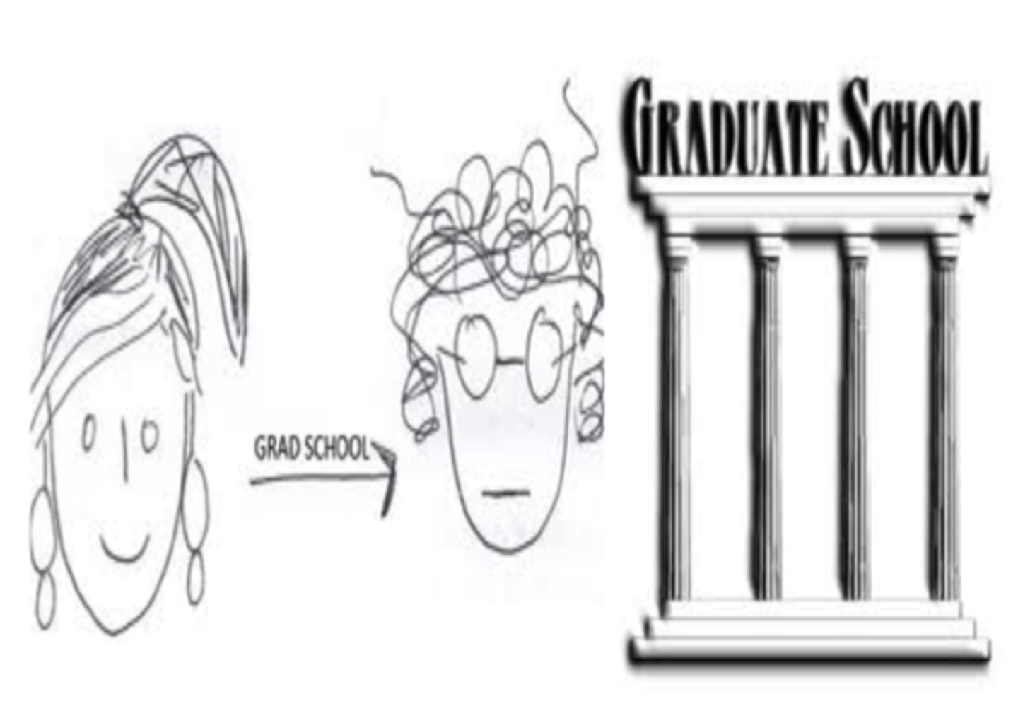 <p>graduate school</p>