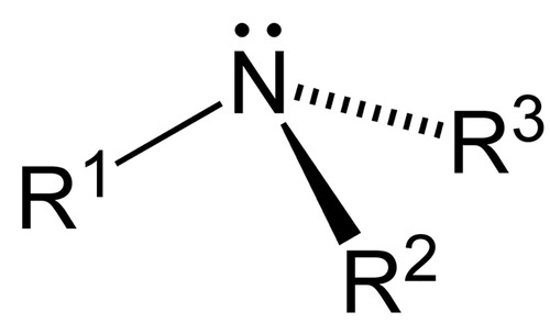<p>alkylated derivatives of ammonia</p>