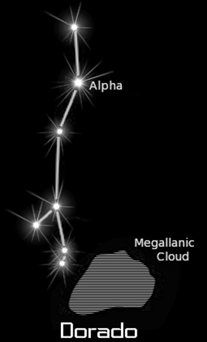 <p>swordfish / brightest star: Alpha Doradus (α Dor)</p>