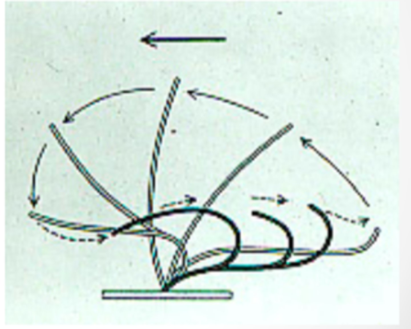<p>- Mechanostimulation</p><p>- high viscosity</p>