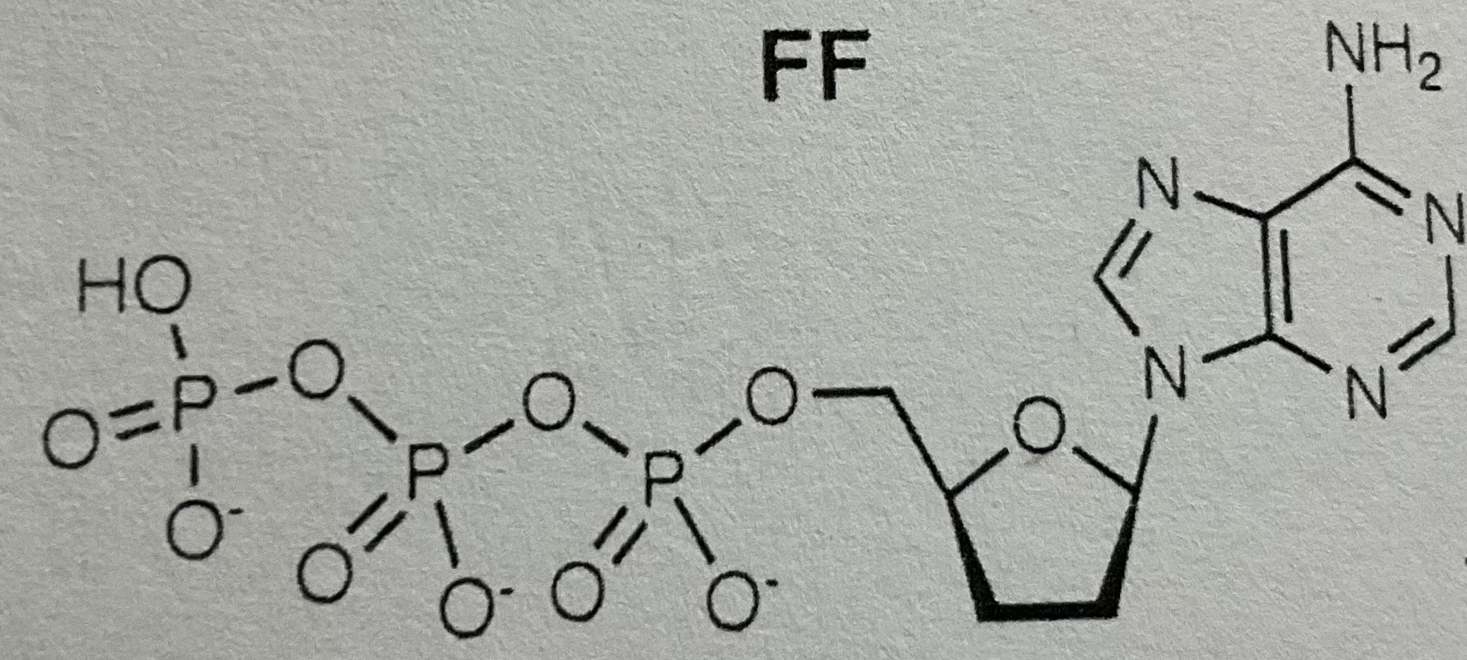 <p>2’,3’-dideoxy-ATP</p>