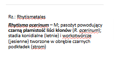 <p>Rhytisma acerinum</p><p>Gr.: ASCOMYCOTA – grzyby workowe</p><p>     Podgr.: PEZIZOMYCOTINA </p>