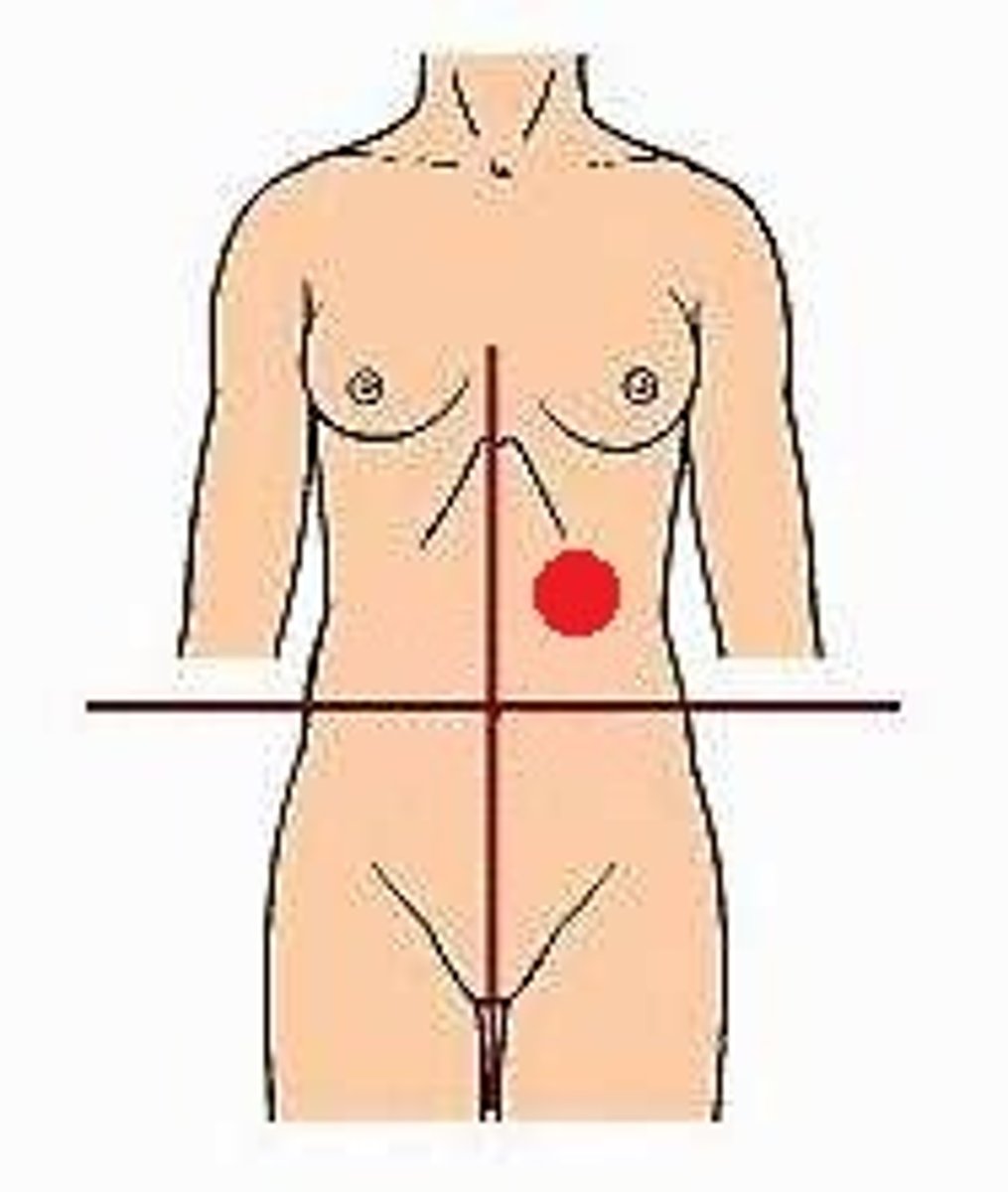 <p>Location:</p><p>Left of midline, superior to transverse plane through umbilicus</p><p>Description:</p><p>Upper left lateral area of abdominopelvic cavity</p><p>Contents include spleen, left kidney and suprarenal gland, and parts of liver, stomach, pancreas, and small and large intestines</p>