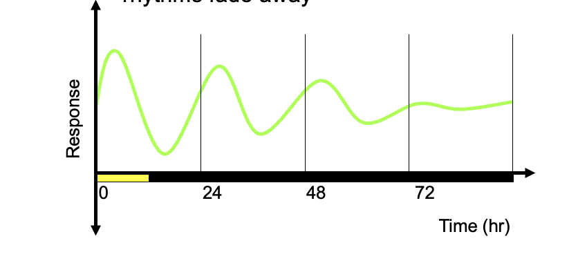 <ul><li><p>if the plants are kept in a constant environment for a long time, circadian rhythms fade away </p></li></ul><p></p>