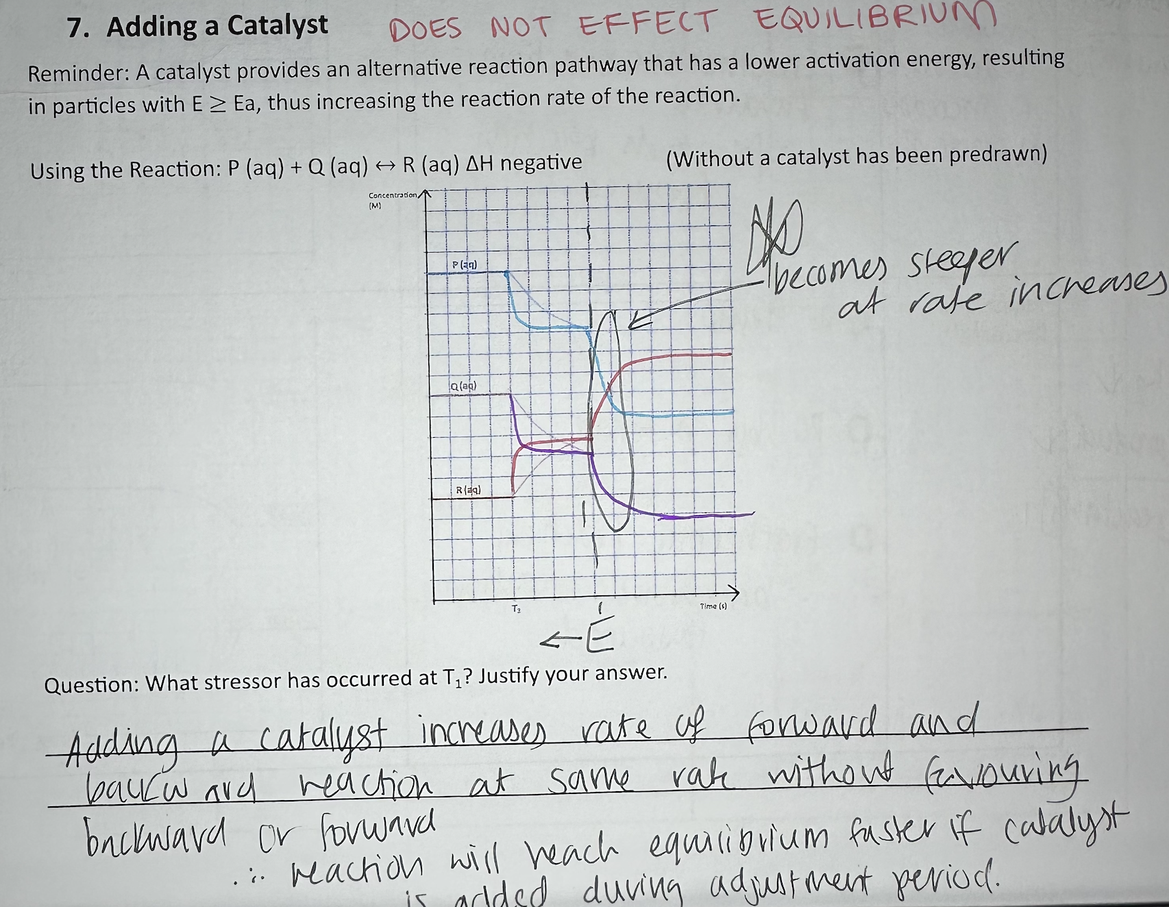 <p>DOES NOT AFFECT EQUILIBRIUM</p><p>Adding catalyst increases rate of both forward and backward reaction at same rate.</p><ul><li><p><strong>reaction will reach equilibrium faster</strong> if catalyst added during adjustment period</p></li></ul><p></p>