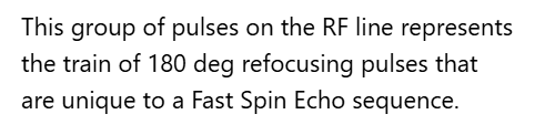<p>B. 180 RF pulses (echo train)</p>