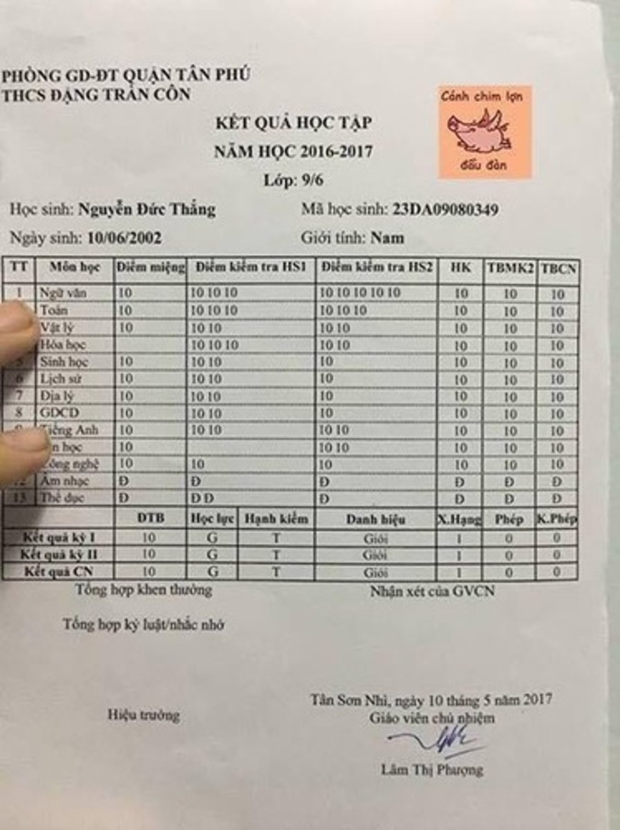 <p>bảng điểm/ học bạ</p>