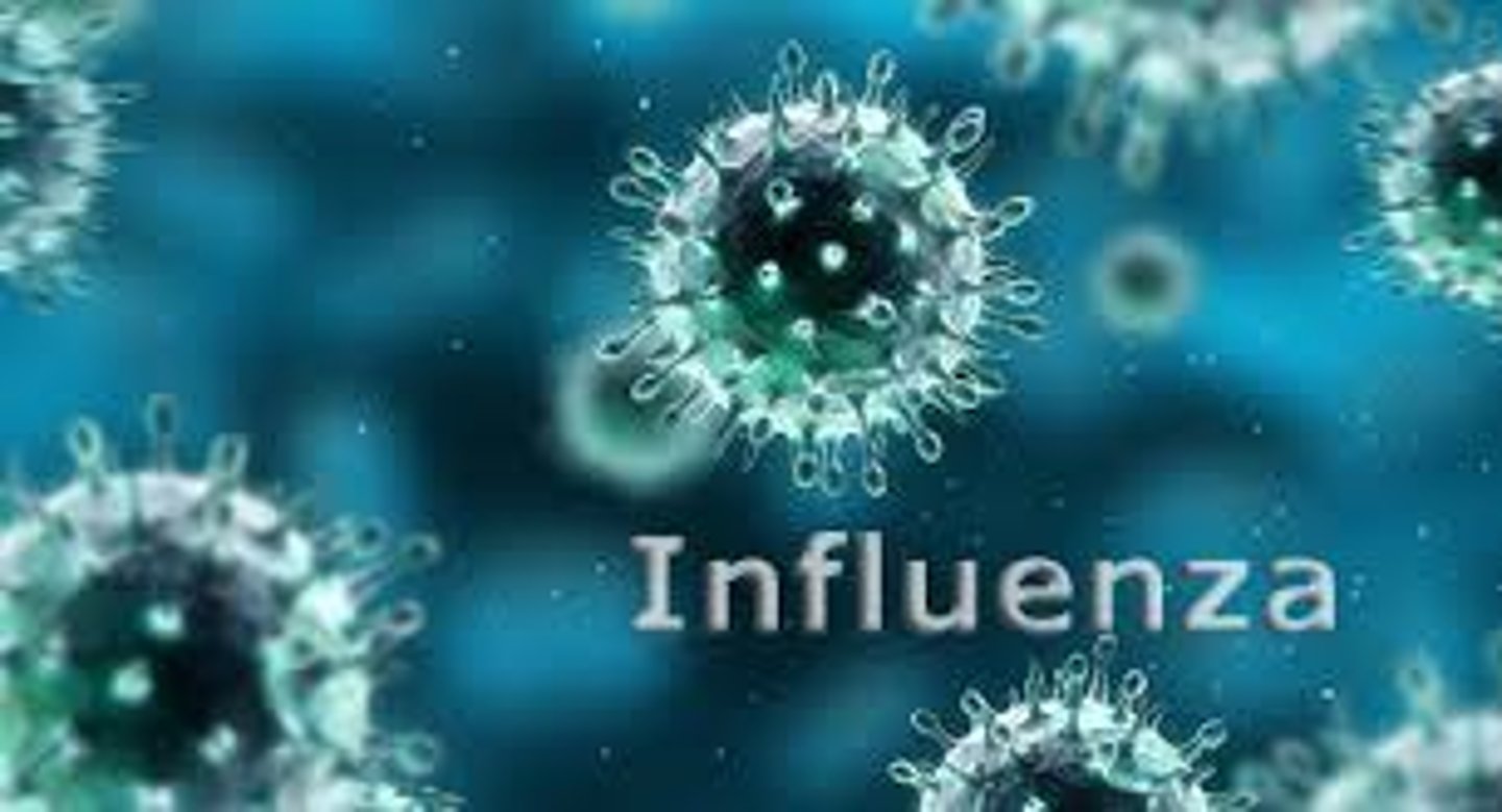 <p>Caused by the influenza virus, airborne, treatment includes bedrest and fluids and antiviral medication, there is a vaccine.</p>