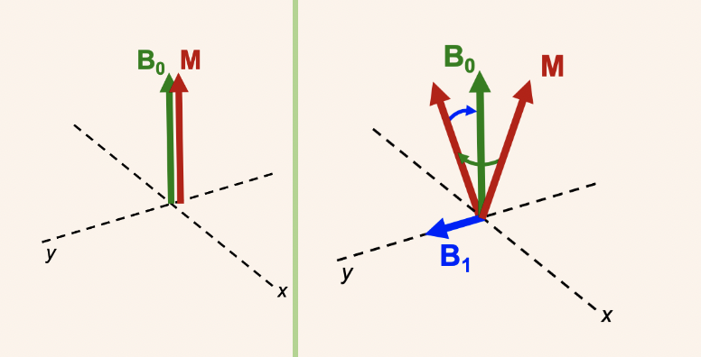 <p><span><span>we apply another magnetic field (B1) perpendicular to B0</span></span></p>