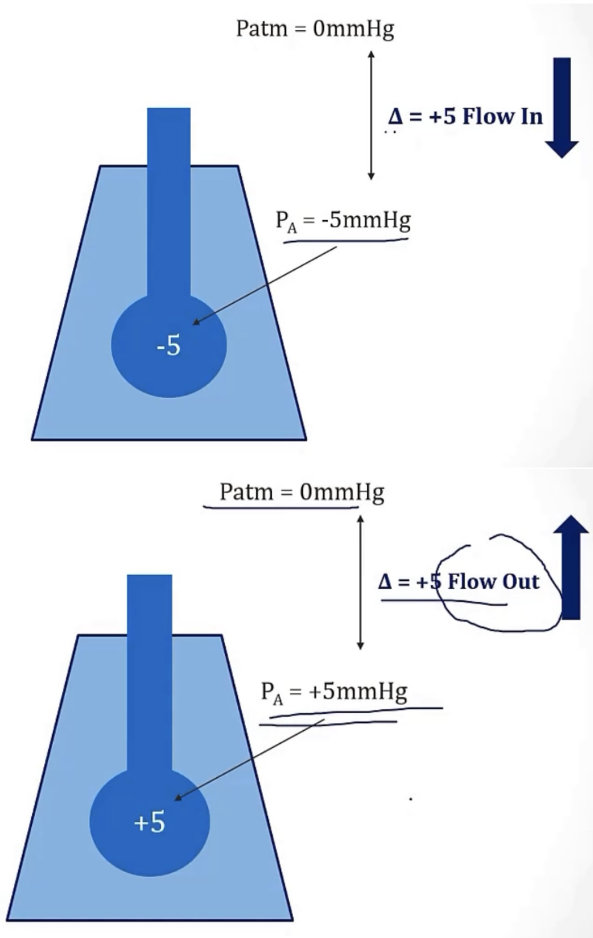 <p>1) to keep the alveoli from collapsing</p><p>2) to force air to flow into the lungs</p><p>-high; low; out of it; into it</p><p>-Intrapleural; diaphragm</p>