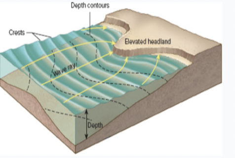 <p>what process is shown in the figure</p>