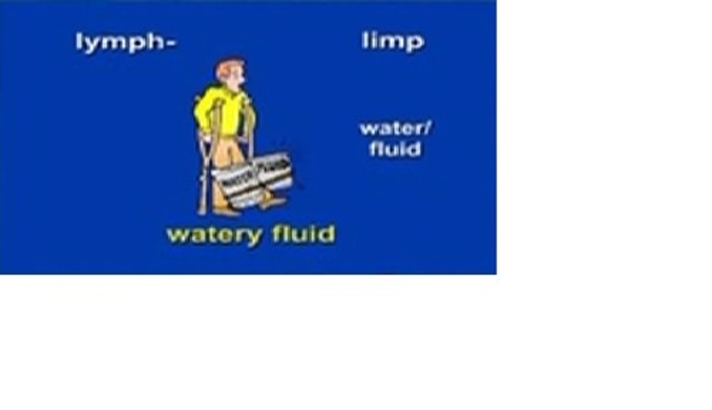 <p>Clear fluid that moves throughout the lymphatic system to fight disease</p>