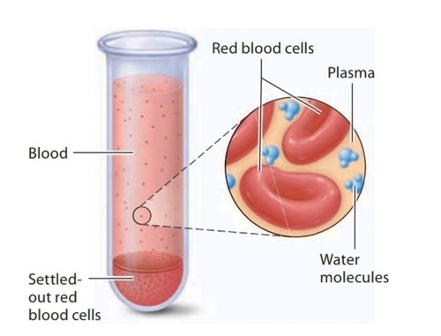 <p>Liquid mixture in which particles distributed in the liquid settle out over time</p>