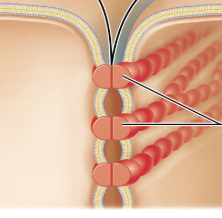 <p>what type of junction is this?</p>
