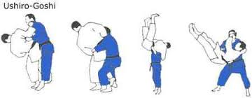 <p>Nach dem zweiten Schritt bleibt Tori stehen und Uke macht eine Wurfeingang mit hoher Handhaltung (Kubi-Nage). Tori blockt und hebt Uke aus. Dabei hebt Uke beide Beine nach vorn und Tori wirft Ushiro-Goshi</p>