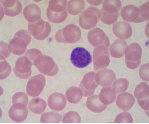 <p>what is this?</p>