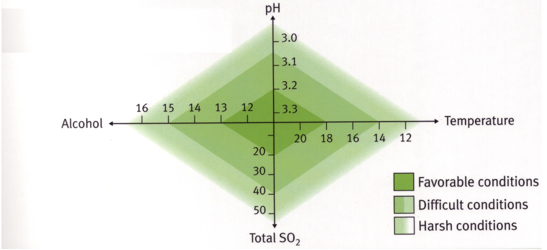 <p>What do these colours represent in this diagram? </p>