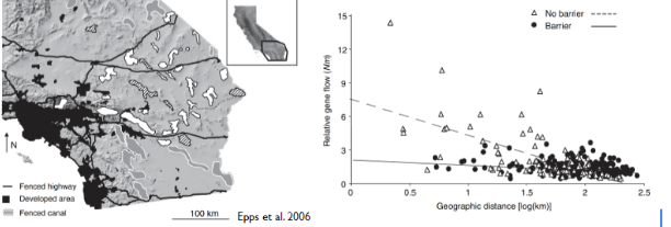 High FST = low # of migrants (Nm)
Low FST = high Nm
The points that represent where there are barriers show low relative gene flow, as compared to subpopulations that do not have barriers where relative gene flow is generally higher.

\
****Barriers on the landscape were inhibiting gene flow between bighorn sheep by reducing population/genetic connectivity which reduced gene flow .**