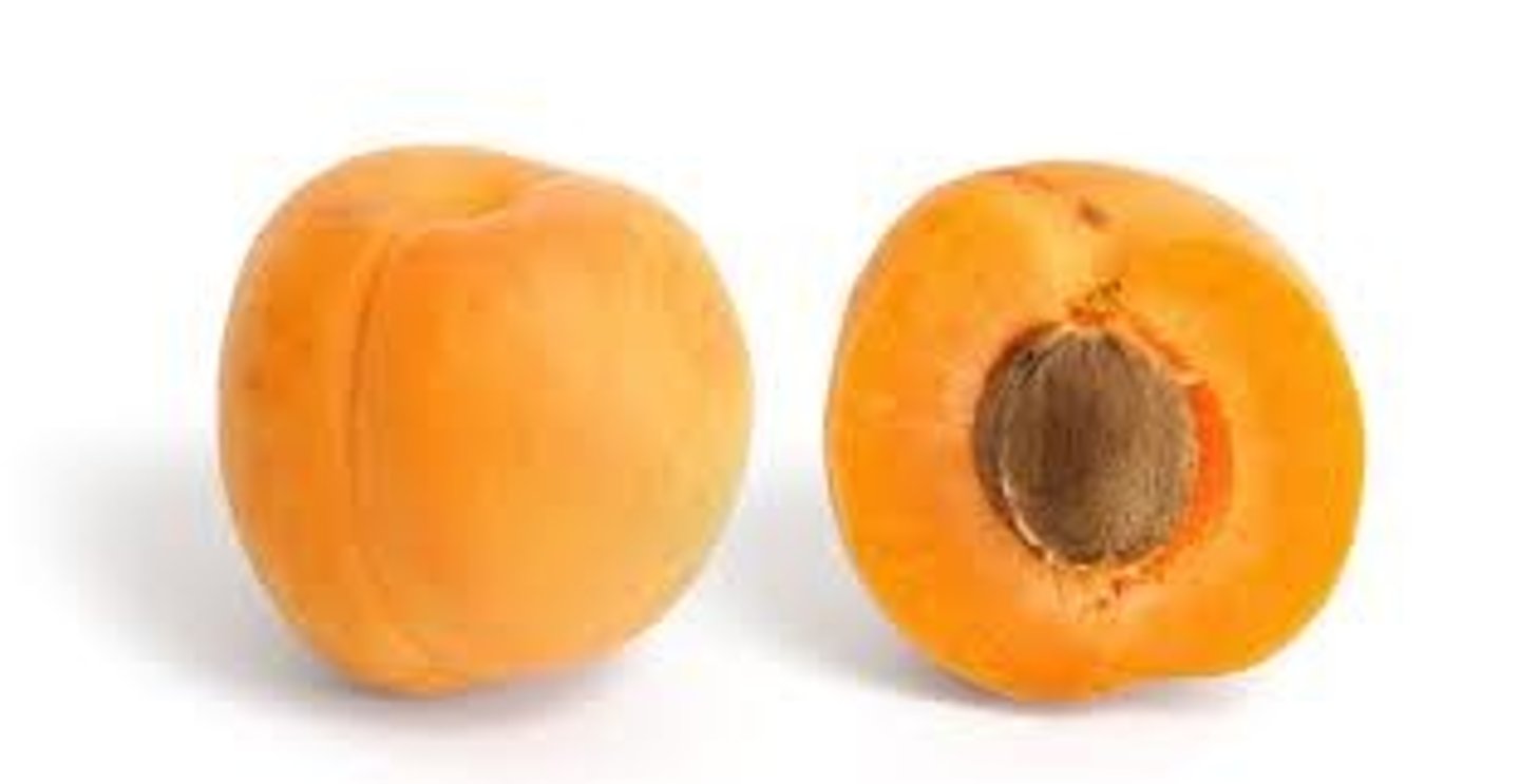 <p>apricot</p>