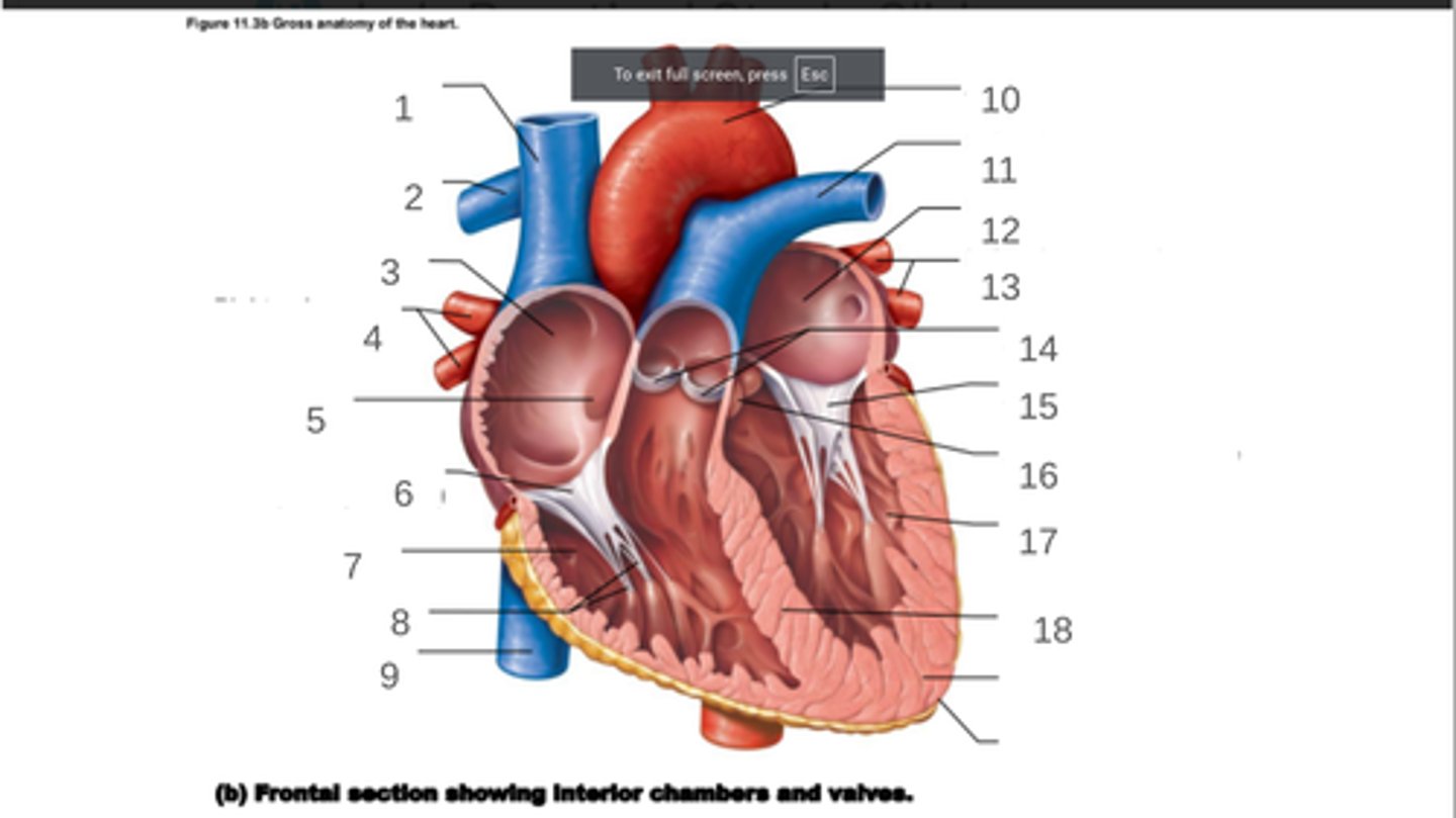 <p>#13</p>