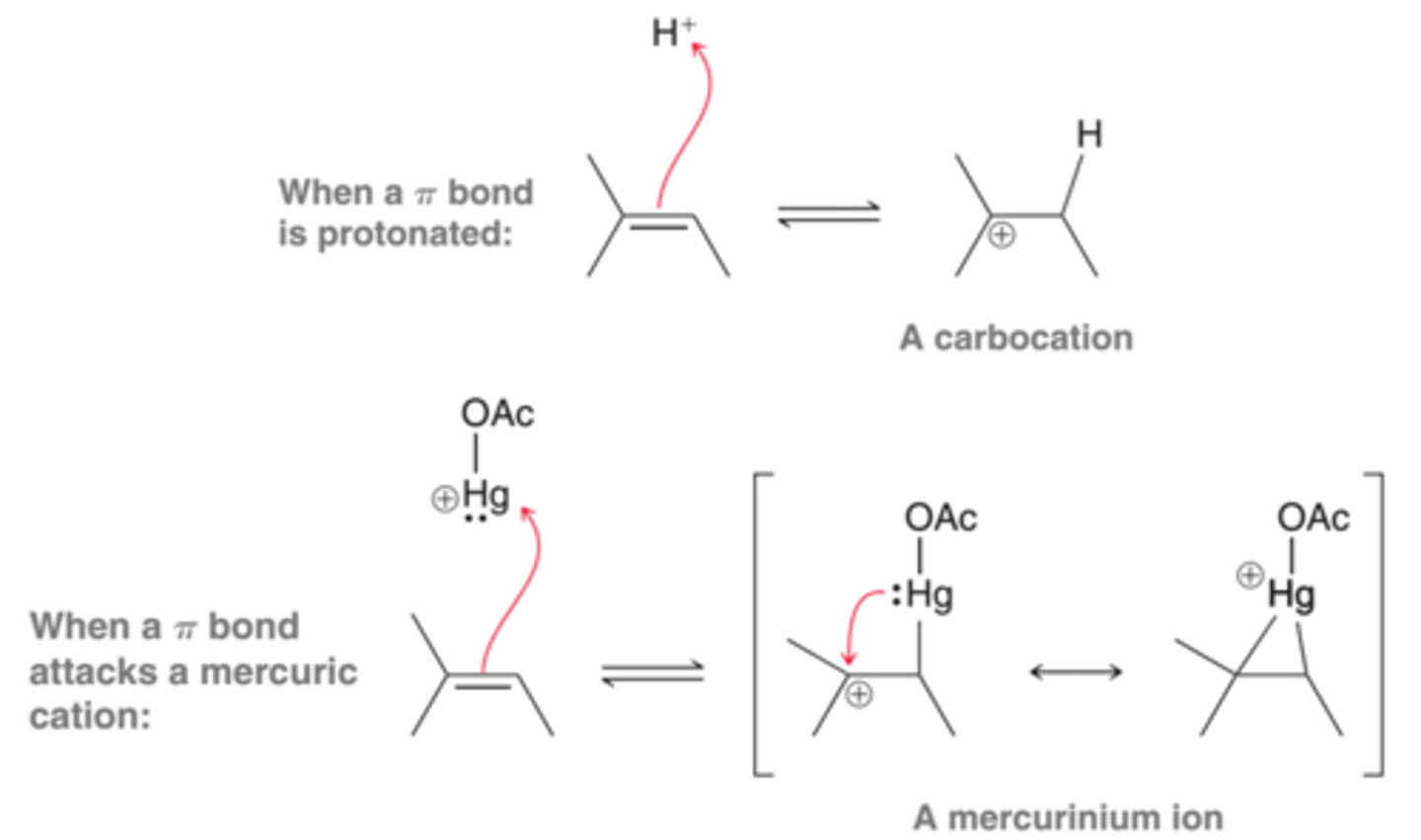 <p>When a pi bond is protonated, the intermediate formed is simply a carbocation. In contrast, when a pi bond attacks a mercuric cation, the resulting intermediate cannot be considered as a carbocation, because the mercury atom has electrons that can interact with the nearby positive charge to form a bridge. This intermediate is called a <b>mercurinium ion</b>.</p>