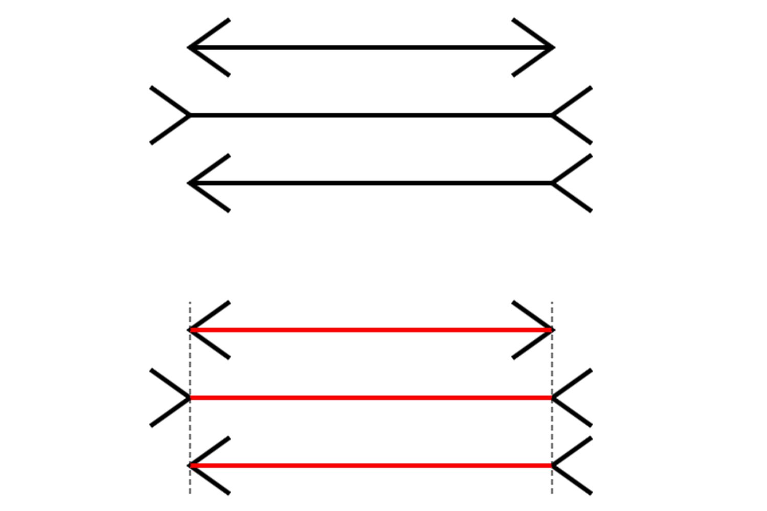 <p>an example of a size constancy illusion</p>