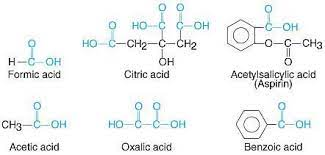 Common carboxylic acids