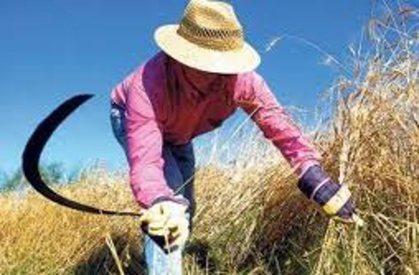 <p>harvester</p>