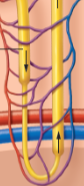 <p>what is this?</p>